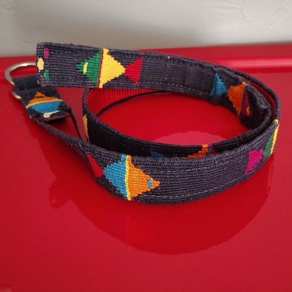A Tail We Could Wag Multicolor Embroidered Belt Adjustable main image 5